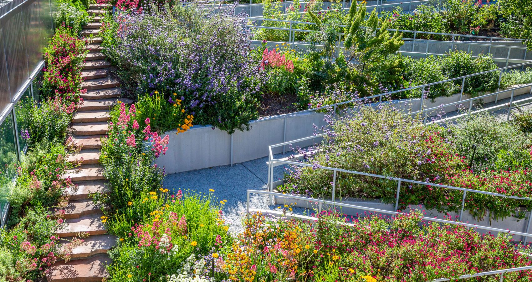 Native Plant Garden Design by Gothic Landscape