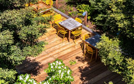 Arbor Management services provided by Gothic Landscape.