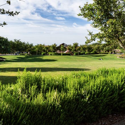 Public landscaping at Great Eastmark by Gothic Landscape.
