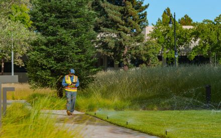 Gothic Landscape offers comprehensive water resource management and irrigation infrastructure services.