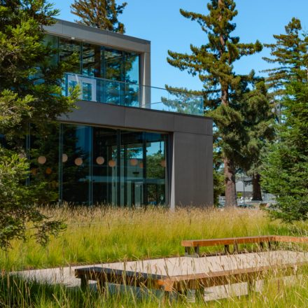 Environmental Impact and LEED Programs