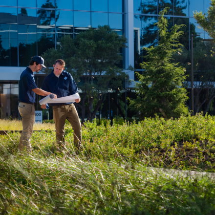 sustainable landscape design services by Gothic Landscape